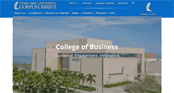 Desktop Screenshot of enterprise.tamucc.edu