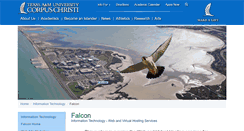 Desktop Screenshot of mobilego.tamucc.edu